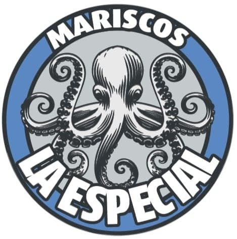 birriaymariscoslaespecial.com